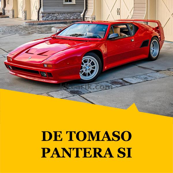 De Tomaso Pantera Si replica car or kit car or fiberglass body kit from